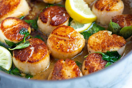scallops