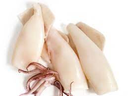 cooked squid aka calamari whole with tentacles